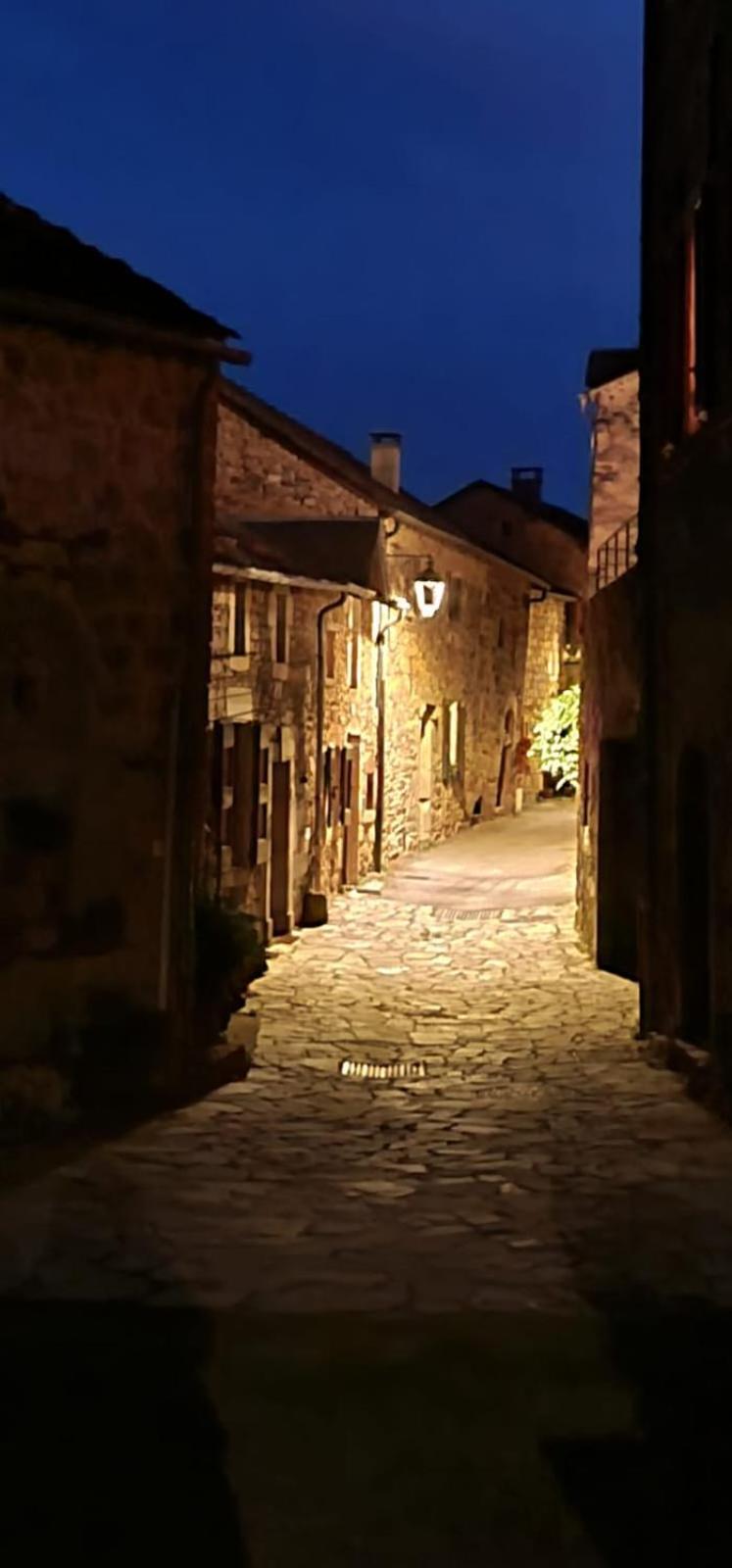 The Tavern Castelnau-Pégayrols 外观 照片